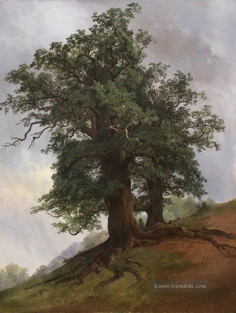 alte Eiche 1866 klassische Landschaft Ivan Ivanovich Bäume Ölgemälde
